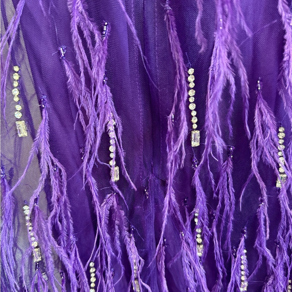 Feather Embellished Elegant Purple Sheer Dress with second piece under dress - Picture 12 of 15
